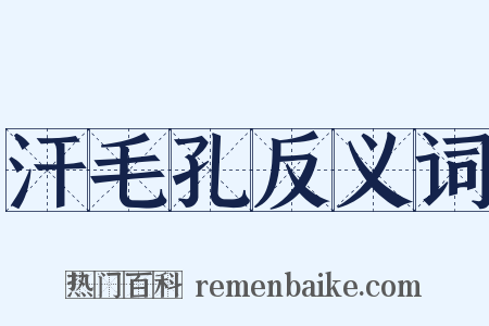 汗毛孔反义词是什么意思的图片